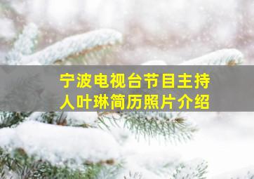 宁波电视台节目主持人叶琳简历照片介绍