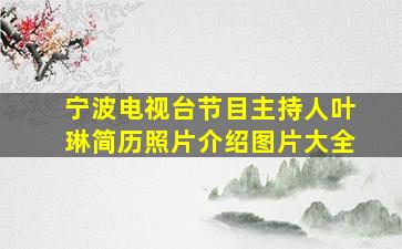 宁波电视台节目主持人叶琳简历照片介绍图片大全