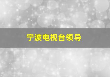 宁波电视台领导