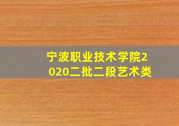 宁波职业技术学院2020二批二段艺术类