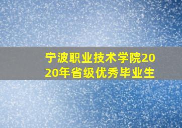 宁波职业技术学院2020年省级优秀毕业生