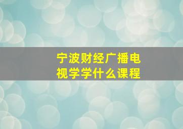 宁波财经广播电视学学什么课程