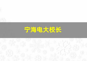 宁海电大校长