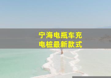 宁海电瓶车充电桩最新款式