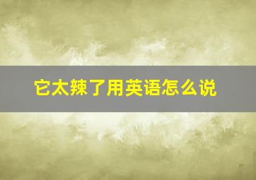 它太辣了用英语怎么说