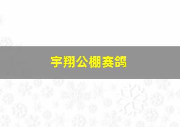 宇翔公棚赛鸽