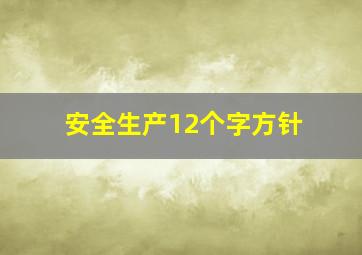 安全生产12个字方针