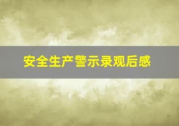 安全生产警示录观后感