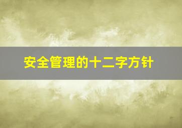 安全管理的十二字方针