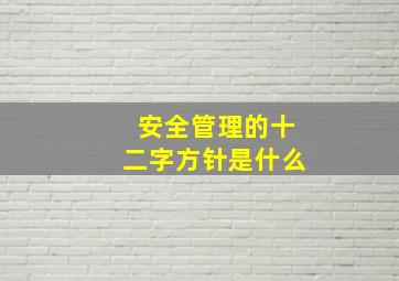 安全管理的十二字方针是什么