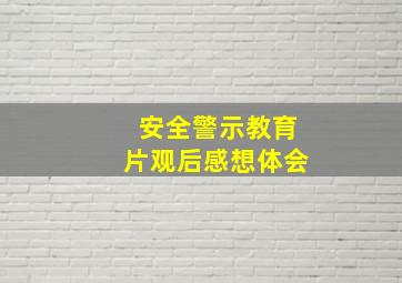 安全警示教育片观后感想体会