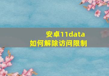 安卓11data如何解除访问限制