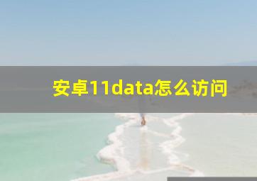 安卓11data怎么访问