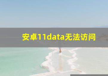 安卓11data无法访问