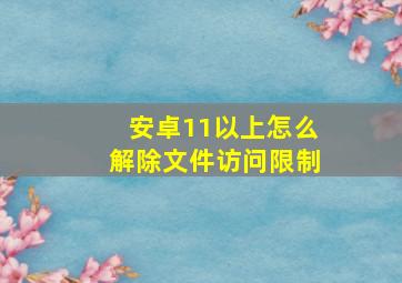 安卓11以上怎么解除文件访问限制