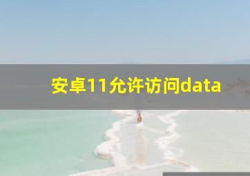 安卓11允许访问data