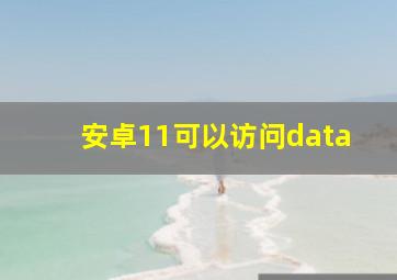 安卓11可以访问data