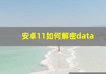 安卓11如何解密data