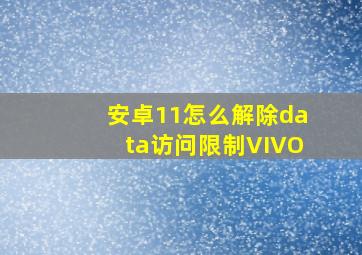 安卓11怎么解除data访问限制VIVO