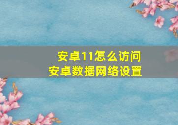 安卓11怎么访问安卓数据网络设置