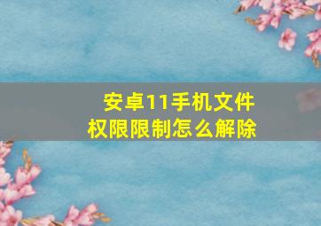 安卓11手机文件权限限制怎么解除