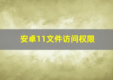 安卓11文件访问权限