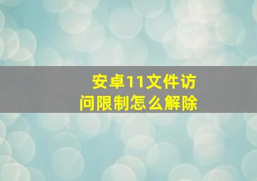 安卓11文件访问限制怎么解除