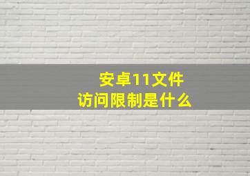 安卓11文件访问限制是什么