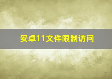 安卓11文件限制访问