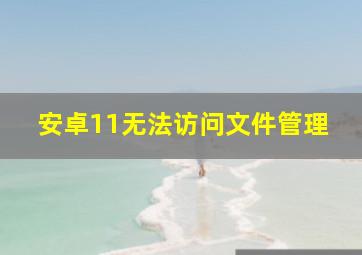 安卓11无法访问文件管理