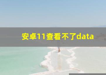 安卓11查看不了data