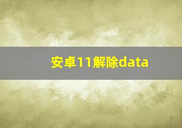 安卓11解除data