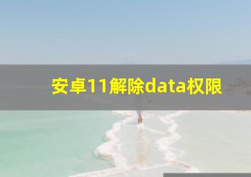 安卓11解除data权限