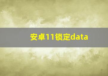 安卓11锁定data