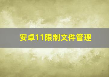 安卓11限制文件管理