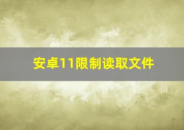 安卓11限制读取文件