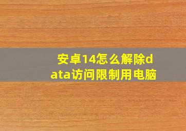 安卓14怎么解除data访问限制用电脑