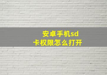 安卓手机sd卡权限怎么打开