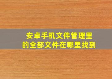 安卓手机文件管理里的全部文件在哪里找到