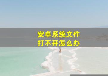 安卓系统文件打不开怎么办