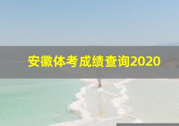 安徽体考成绩查询2020