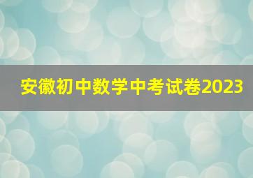 安徽初中数学中考试卷2023