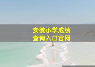 安徽小学成绩查询入口官网