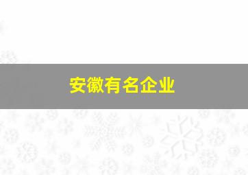 安徽有名企业