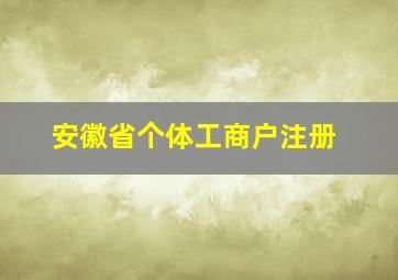 安徽省个体工商户注册