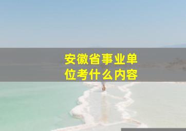 安徽省事业单位考什么内容