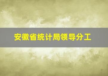 安徽省统计局领导分工