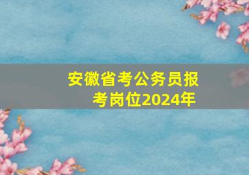 安徽省考公务员报考岗位2024年