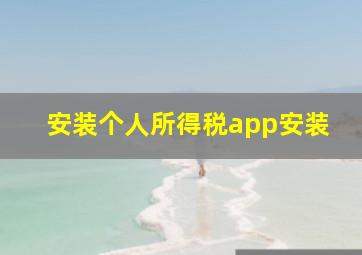 安装个人所得税app安装