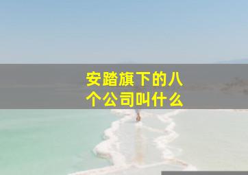 安踏旗下的八个公司叫什么